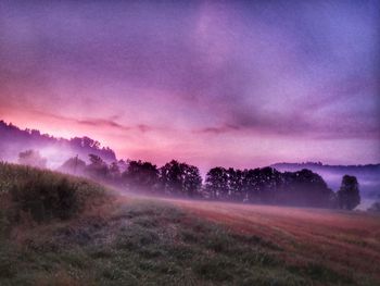 Trees on field against sky during sunset