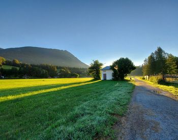 Scenic view of field against clear sky