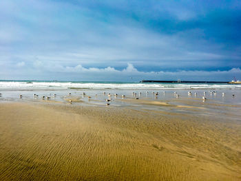 Scenic view of beach against sky