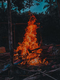 View of fire in the forest