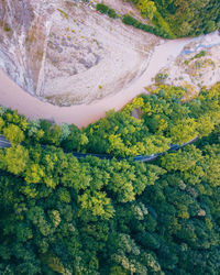 High angle view of trees