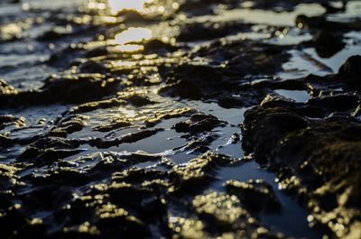 Surface level of rocks on shore