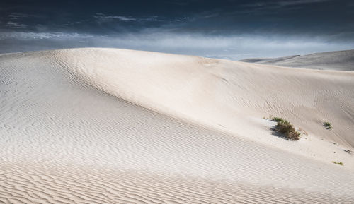 Sand dunes in desert against sky