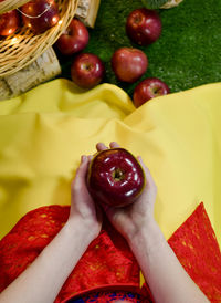 High angle view of woman holding strawberries