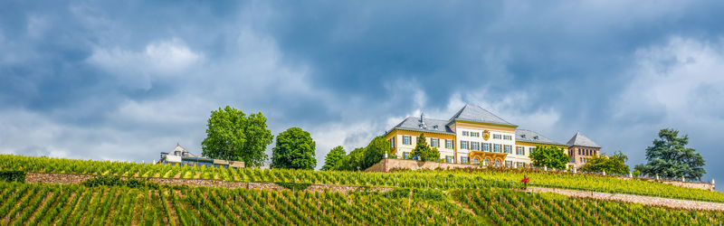 Panoramic view of agricultural field against sky