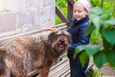 Child combing dog care long fur animal combs for pets love support adoption homeless mongrel shelter