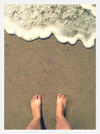 Low section of woman on beach