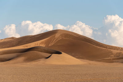 View from nature and landscapes of dasht e lut or sahara desert after the rain with wet sand dunes 