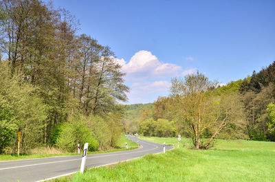 Road amidst trees and plants against sky