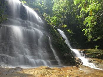 Waterfall on rocks in rainforest