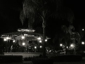 Illuminated ferris wheel against sky at night