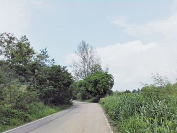 Road amidst trees against sky