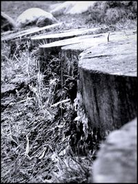 Stream flowing through rocks