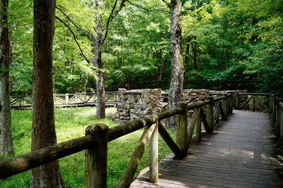 Wooden fence in forest