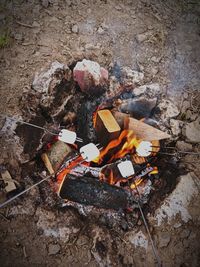 High angle view of fire on wood