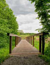 Footpath amidst trees in forest against sky