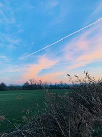 Scenic view of field against sky during sunset