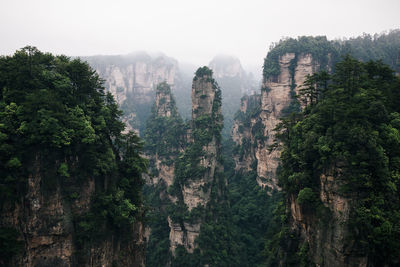 Rock formations at zhangjiajie national forest park