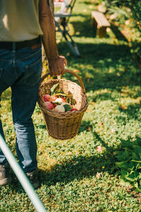 Midsection of man holding apple in basket on field