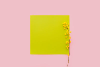 Directly above shot of yellow paper against colored background