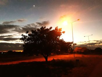 Silhouette trees on landscape against sky at sunset