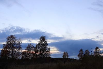 Silhouette trees on field against sky