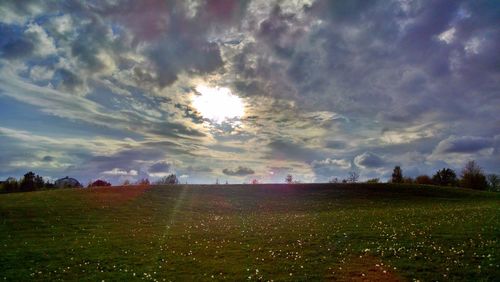 Scenic view of field against sky