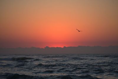 Silhouette bird flying over sea against orange sky