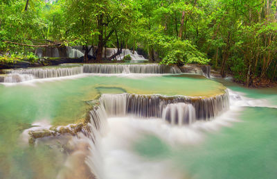 Scenic view of waterfall in forest