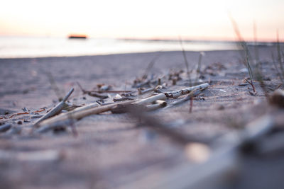 Close-up of sea against sky at sunset