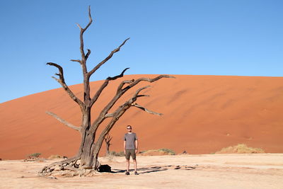 Full length of man standing by dead tree on desert against clear sky