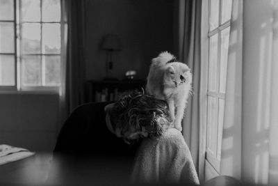 Portrait of girl  and a cat sitting on a couch by window at home