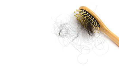 High angle view of painting on white background