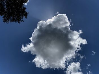 Low angle view of silhouette trees against blue sky