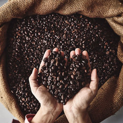 Cropped image of hand holding coffee beans