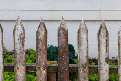 Close-up of metallic fence against railing