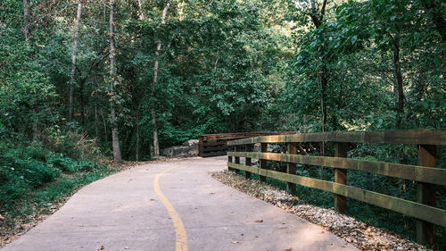 Empty road amidst trees in forest