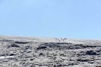 Group of walkers on a snow covered mountain