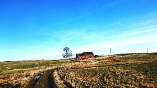 Scenic view of field against blue sky