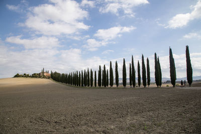 Wooden posts on field against sky