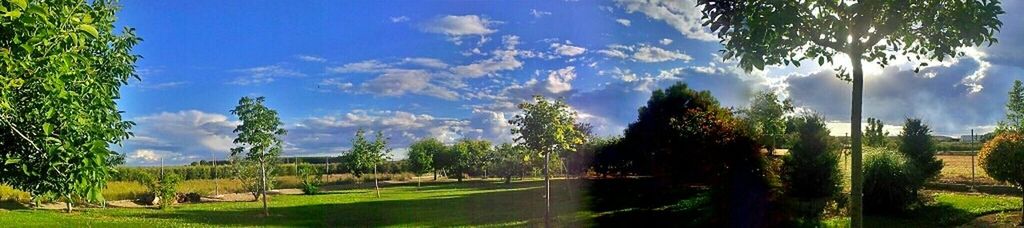 Scenic view of landscape against cloudy sky