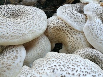 Full frame shot of pattern