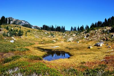 Scenic view of calm lake against clear sky