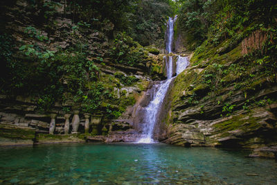 Scenic view of waterfall in forest