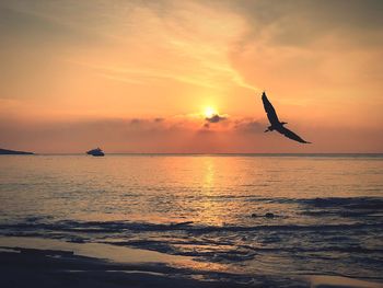 Silhouette bird flying over sea against sky during sunset