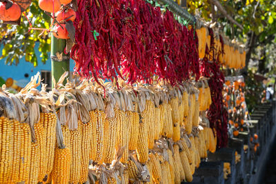 Close-up of red lanterns for sale