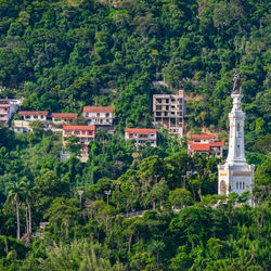 High angle view of trees and buildings