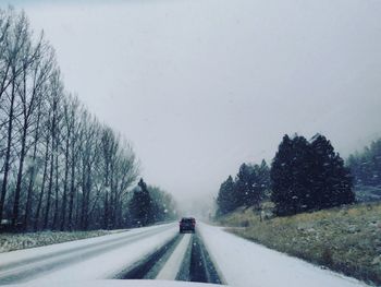 Road in winter