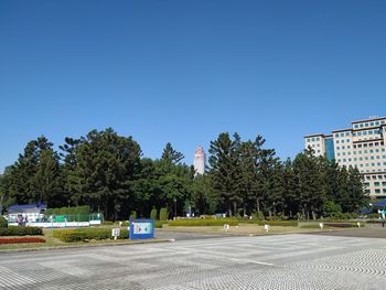 Road by trees and buildings against clear blue sky