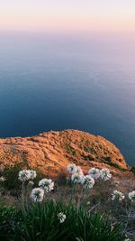 High angle view of sea shore against sky